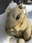 One of Mom’s squirrels, snow